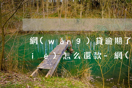 網(wǎng)貸逾期了銀行卡被凍結(jié)怎么還款-網(wǎng)貸逾期了銀行卡被凍結(jié)怎么還款呢