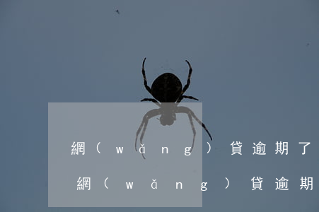 網(wǎng)貸逾期了銀行能看到嗎(借了網(wǎng)貸逾期了銀行能查詢得到嗎?)