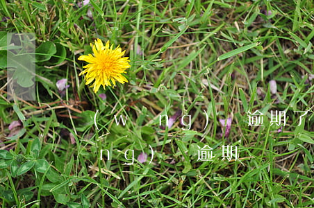 網(wǎng)貸逾期了額度被凍結(網(wǎng)貸逾期凍結資金是真的嗎)