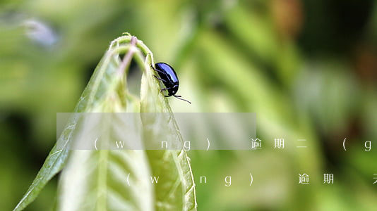 網(wǎng)貸逾期二個(gè)月了咋辦(網(wǎng)貸逾期兩天有什么影響)