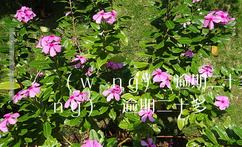網(wǎng)貸逾期二十多塊錢(網(wǎng)貸逾期二十多塊錢)