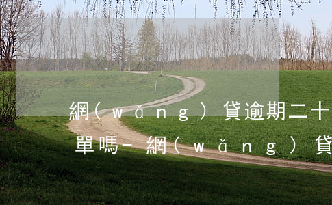 網(wǎng)貸逾期二十天就會上失信名單嗎-網(wǎng)貸逾期二十幾天會上征信不
