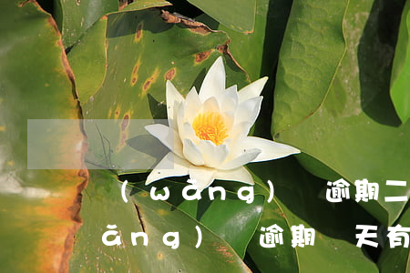 網(wǎng)貸逾期二天會什么樣(網(wǎng)貸逾期兩天有什么影響)