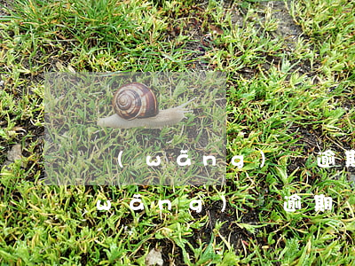 網(wǎng)貸逾期二天有什么后果(網(wǎng)貸逾期兩三天會怎么樣)