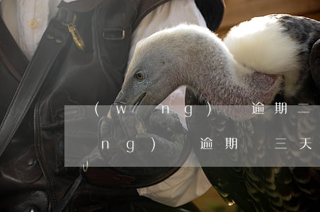 網(wǎng)貸逾期二天有影響嗎(網(wǎng)貸逾期兩三天嚴(yán)重嗎)