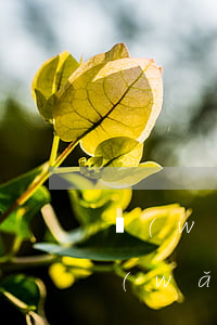 網(wǎng)貸逾期五天后還能查到嗎(網(wǎng)貸逾期三天還款有事嗎)