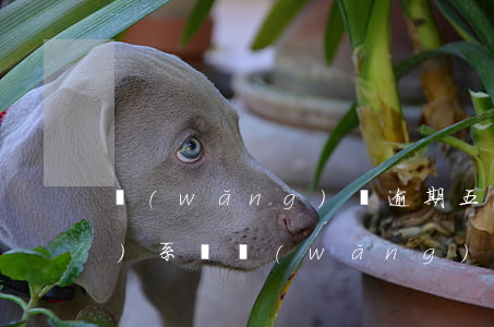 網(wǎng)貸逾期五天有關(guān)系嗎(網(wǎng)貸逾期三天)