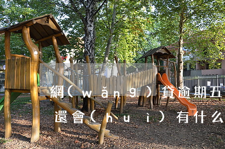 網(wǎng)貸逾期五天沒(méi)有還會(huì)有什么影響-網(wǎng)貸逾期五天沒(méi)有還會(huì)有什么影響嗎