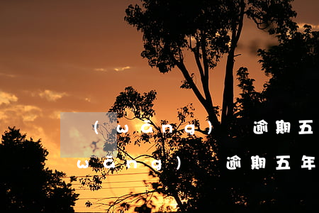 網(wǎng)貸逾期五天還能貸款嗎(網(wǎng)貸逾期五年了怎么辦)