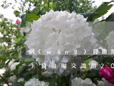 網(wǎng)貸逾期交流-網(wǎng)貸逾期交流群2022