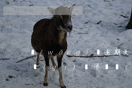 網(wǎng)貸逾期交農(nóng)村醫(yī)療保險(網(wǎng)貸逾期影響交醫(yī)保嗎)