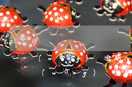 網(wǎng)貸逾期人保代償會被起訴嗎(網(wǎng)貸逾期被保險代償合法嗎)