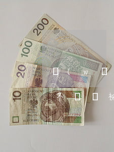 網(wǎng)貸逾期人保理賠了之后多久不還會被起訴-網(wǎng)貸被保險公司代償以后會被起訴嗎