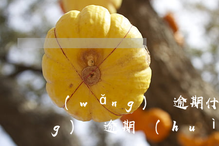 網(wǎng)貸逾期什么后果(網(wǎng)貸逾期會(huì)怎樣)