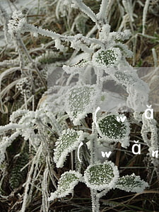 網(wǎng)貸逾期什么情況會被起訴(網(wǎng)貸逾期一般什么情況會被起訴)