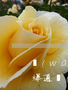 網(wǎng)貸逾期什么時(shí)候爆通(網(wǎng)貸逾期什么時(shí)候爆通)