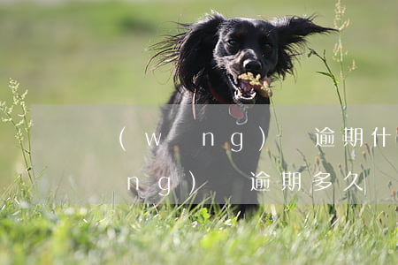 網(wǎng)貸逾期什么時候洗白(網(wǎng)貸逾期多久)