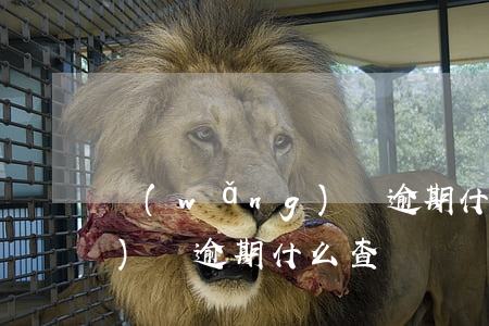 網(wǎng)貸逾期什么查（網(wǎng)貸逾期什么查）