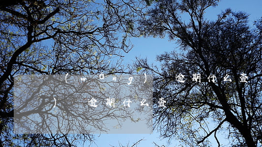 網(wǎng)貸逾期什么查(網(wǎng)貸逾期什么查記錄)
