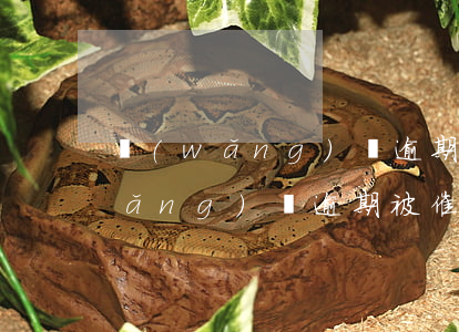 網(wǎng)貸逾期他們怎么催債(網(wǎng)貸逾期被催收怎么辦)