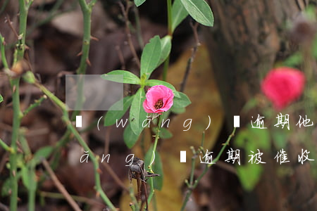 網(wǎng)貸逾期他們會報警嗎(網(wǎng)貸逾期被催收可以報警嗎)