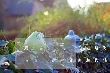 網(wǎng)貸逾期代償后怎么還款(網(wǎng)貸逾期代償后怎么還款)