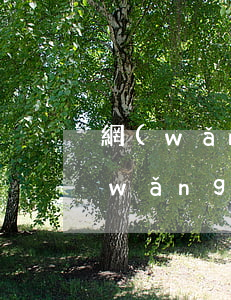 網(wǎng)貸逾期代償多久能起訴(網(wǎng)貸逾期被代償了怎么辦)