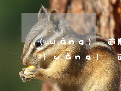 網(wǎng)貸逾期以后可以辦信用卡嗎(網(wǎng)貸逾期了能辦信用卡嗎)