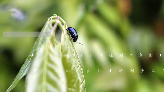 網(wǎng)貸逾期以后登錄APP(你們網(wǎng)貸逾期多久了)