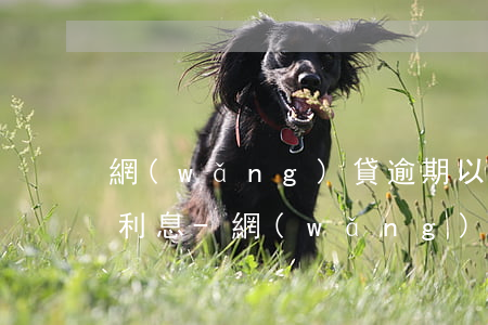 網(wǎng)貸逾期以后還的是本金還是利息-網(wǎng)貸逾期以后還的是本金還是利息呢