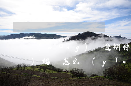 網(wǎng)貸逾期仲裁委員會(huì)起訴怎么應(yīng)對(duì)-網(wǎng)貸逾期仲裁委員會(huì)起訴怎么應(yīng)對(duì)呢
