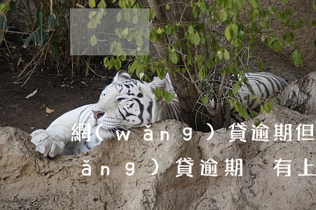 網(wǎng)貸逾期但是沒上征信(網(wǎng)貸逾期沒有上征信)