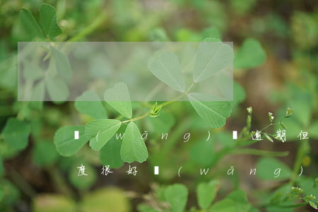 網(wǎng)貸逾期但還款態(tài)度很好(網(wǎng)貸全面逾期的最終結(jié)局)