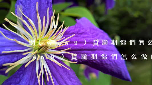 網(wǎng)貸逾期你們怎么做的(網(wǎng)貸逾期你們怎么做的)
