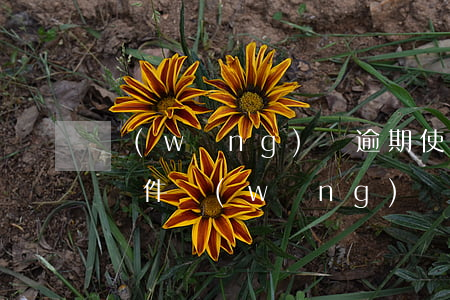 網(wǎng)貸逾期使勁發(fā)QQ郵件(網(wǎng)貸逾期發(fā)郵件要上門)