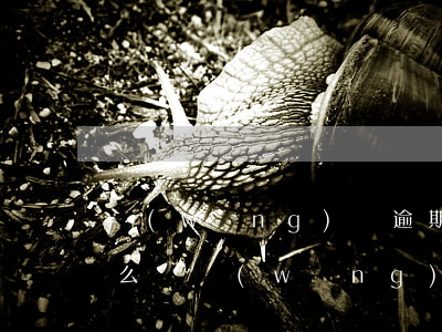 網(wǎng)貸逾期來(lái)家訪怎么辦(網(wǎng)貸逾期會(huì)家訪嗎)
