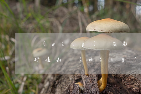 網(wǎng)貸逾期來(lái)短信銀行通知(網(wǎng)貸逾期收到訴訟通知短信)