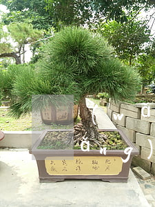 網(wǎng)貸逾期來信息說起訴(網(wǎng)貸逾期說被起訴)