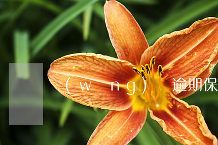 網(wǎng)貸逾期保信用卡