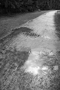 網(wǎng)貸逾期保單還能貸款嗎(保單貸逾期多久上征信)