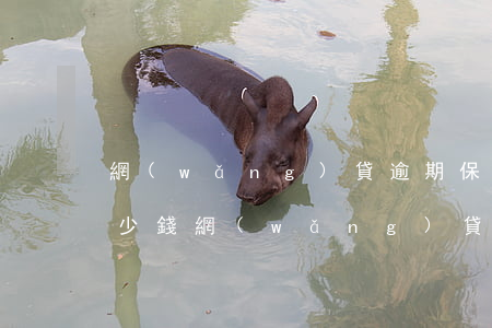 網(wǎng)貸逾期保費(fèi)是多少錢(網(wǎng)貸逾期費(fèi)用合法嗎)