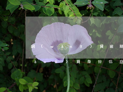 網(wǎng)貸逾期信息泄露后果(網(wǎng)貸身份信息泄露怎么辦)