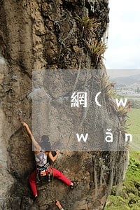 網(wǎng)貸逾期信用卡一定降額(網(wǎng)貸影響信用卡降額嗎)