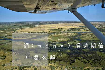 網(wǎng)貸逾期信用卡凍結(jié)怎么解