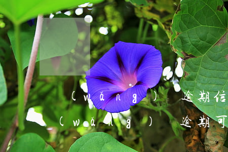 網(wǎng)貸逾期信用卡可以辦嗎(有網(wǎng)貸逾期可以辦信用卡嗎)