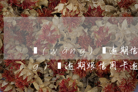網(wǎng)貸逾期信用卡嗎(網(wǎng)貸逾期跟信用卡逾期哪個嚴重)