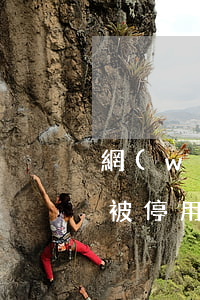 網(wǎng)貸逾期信用卡會(huì)被停用嗎(網(wǎng)貸逾期了信用卡受影響)
