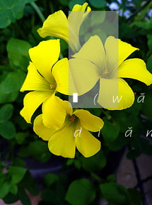 網(wǎng)貸逾期信用卡每月還一點(diǎn)可以嗎-網(wǎng)貸逾期信用卡每月還一點(diǎn)可以嗎安全嗎