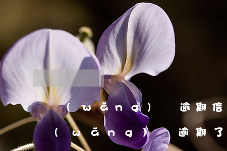 網(wǎng)貸逾期信用卡為什么停用(網(wǎng)貸逾期了信用卡受影響)