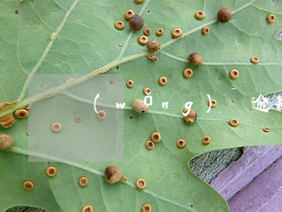 網(wǎng)貸逾期信用卡用不了